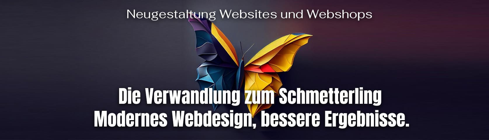 Neugestaltung Websites und Webshops